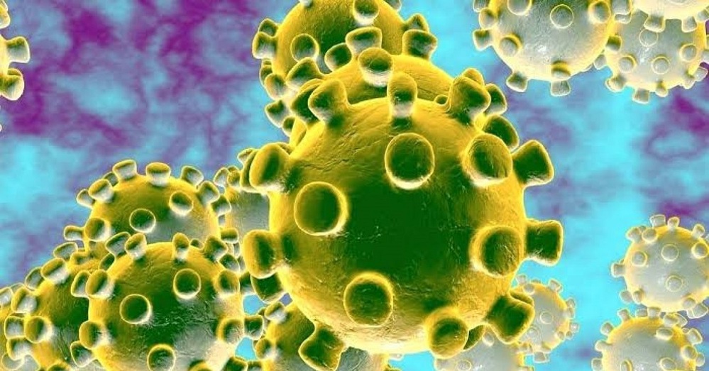  
Hình ảnh mô phỏng virus Corona
