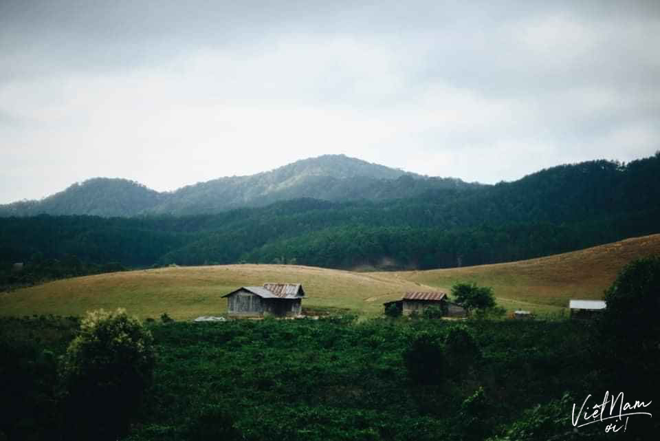  
Tà Năng - Phan Dũng được bao quanh bởi màu xanh tươi mát của cây cối cùng ngôi nhà gỗ nằm trong thung lũng.