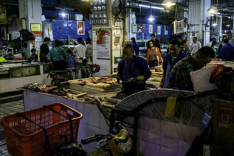  
Chợ hải sản Hoa Nam - địa điểm đươc nghi là nơi bắt nguồn của dịch bệnh khi chưa đóng cửa (Nguồn ảnh: Healthpolicy-watch)​