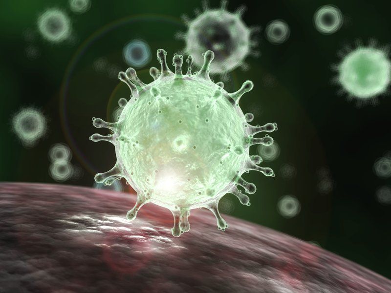 Virus Corona có rất nhiều chủng, đã được phát hiện từ trước. (Ảnh: Báo Quốc tế)