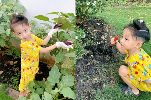  
Cậu út hào hứng khoe thành quả mà gia đình đã trồng cà tím. (Ảnh: FBNV) - Tin sao Viet - Tin tuc sao Viet - Scandal sao Viet - Tin tuc cua Sao - Tin cua Sao
