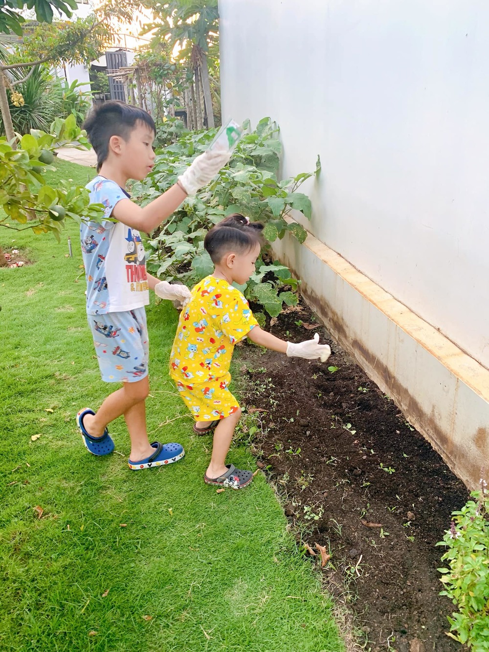  
Hai anh em nhiệt tình đi gieo hạt trồng rau quả trong vườn. (Ảnh: FBNV) - Tin sao Viet - Tin tuc sao Viet - Scandal sao Viet - Tin tuc cua Sao - Tin cua Sao