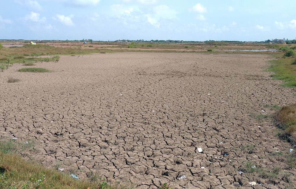  
Đất đai khô cằn nứt nẻ vì nạn xâm nhập mặn. (Ảnh minh họa: Tài Nguyên và Môi trường).