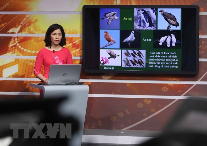  
Đài truyền hình Hà Nội phát sóng bài giảng của giáo viên từ ngày 9/3 (Ảnh: TTXVN)