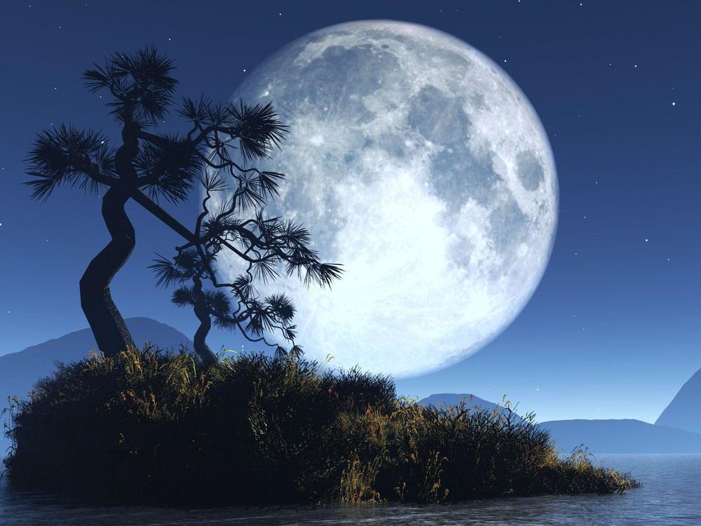 Hình ảnh siêu trăng giun trên khắp thế giới