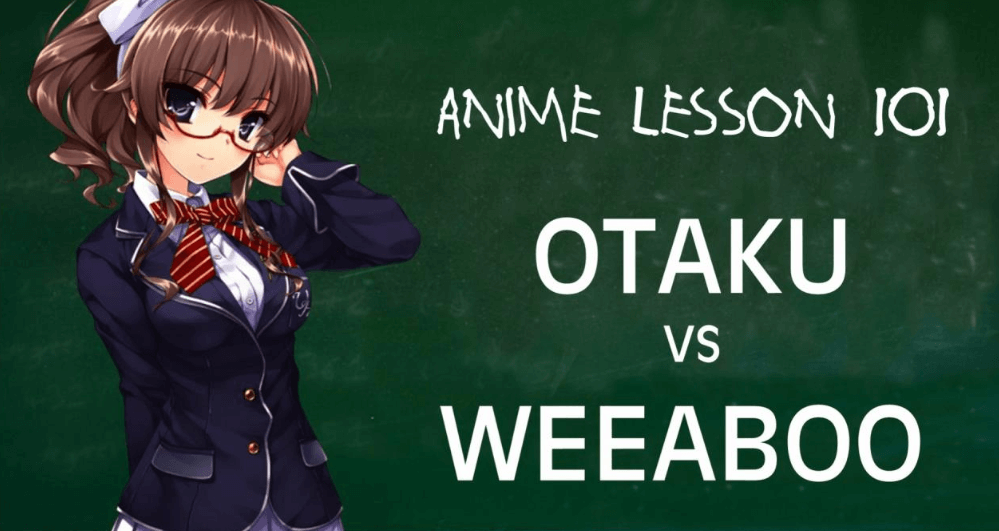  
So sánh giữa Wibu và Otaku (Ảnh minh họa)