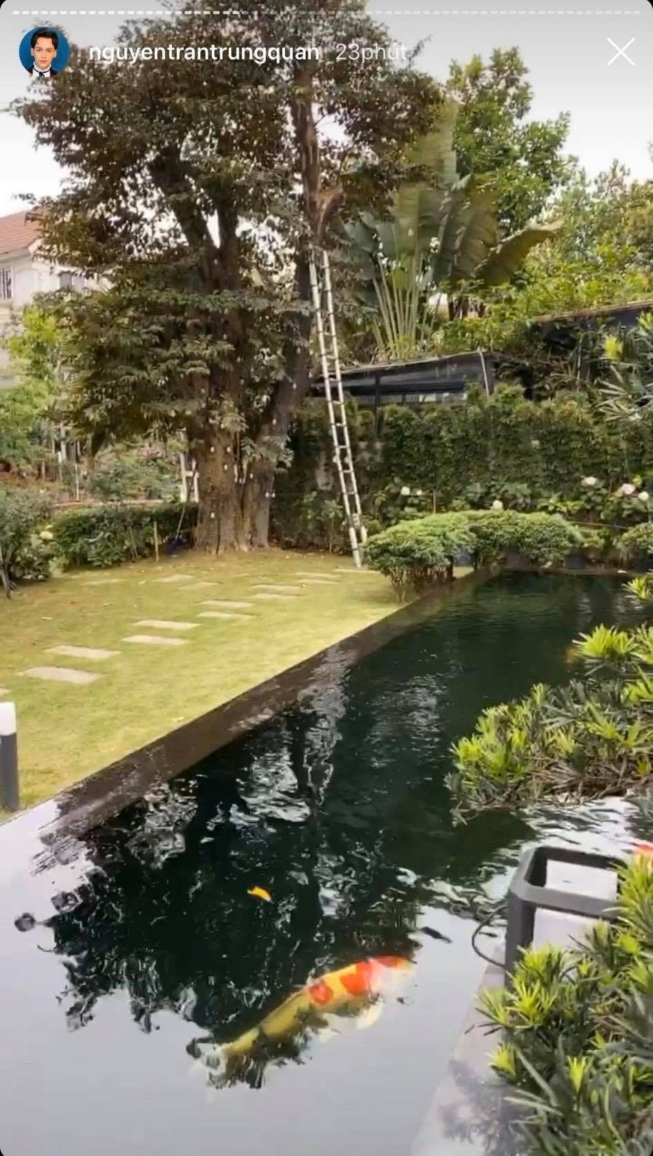  
Biệt thự bề thế của gia đình Nguyễn Trần Trung Quân tại Hà Nội, một phần sân vườn của căn nhà (Ảnh: Chụp màn hình)