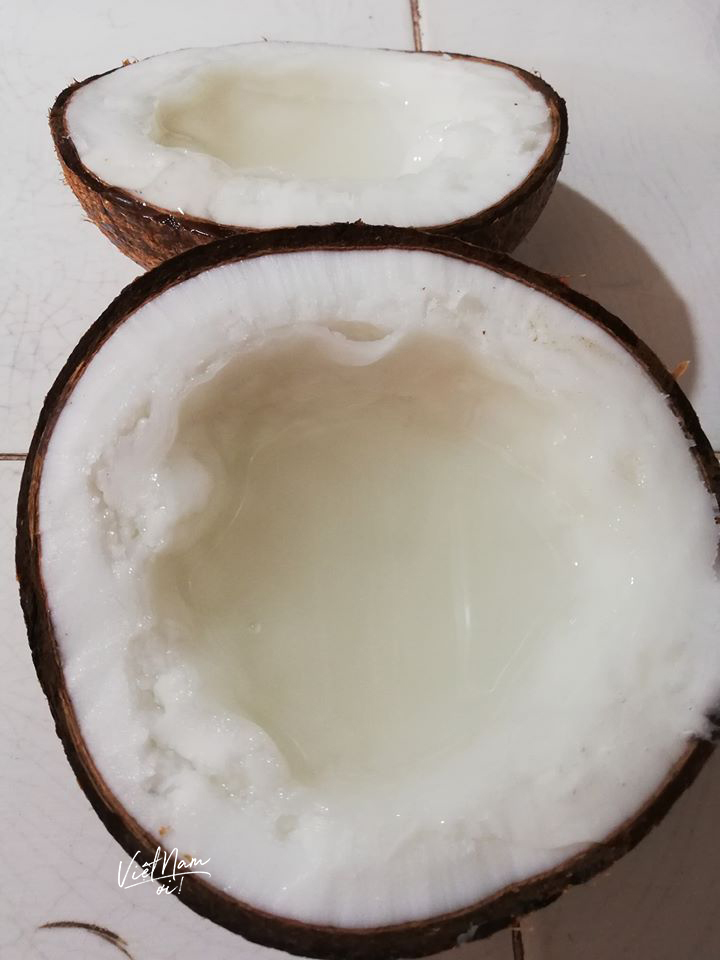  
Trái Dừa Sáp béo ngậy, thơm ngon nhưng có giá gấp 10 lần so với loại thường.