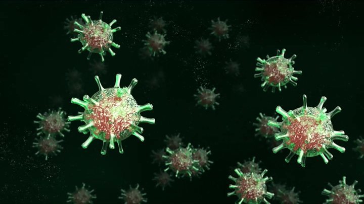  
Virus SARs-CoV-2 có thể gây ảnh hưởng đến các cơ quan khác của bệnh nhân. (Ảnh minh họa: Wiki)