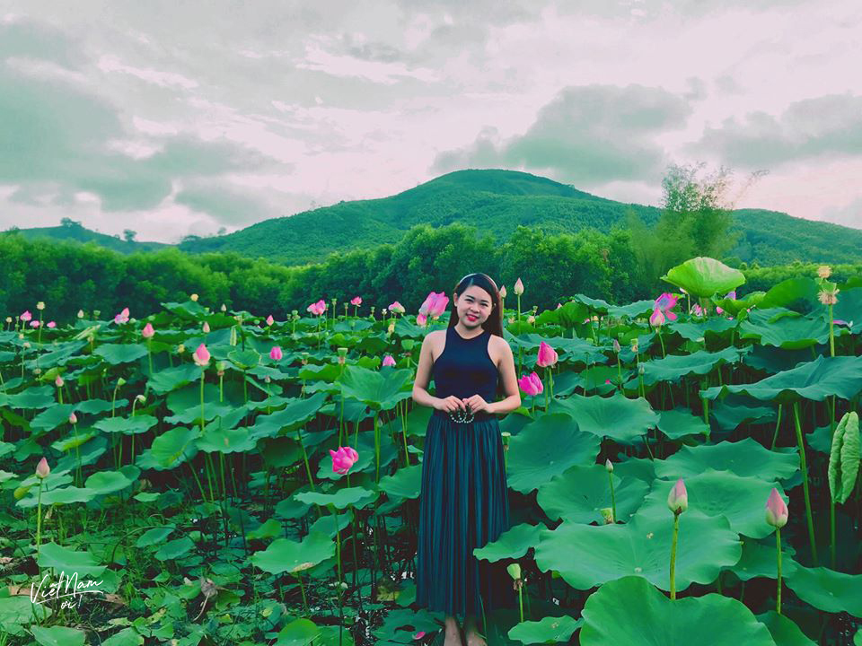  
Giữa núi rừng Gia Lai, vẫn có một mùa sen đằm thắm, đẹp rực hồng khiến ai cũng mê mẩn.