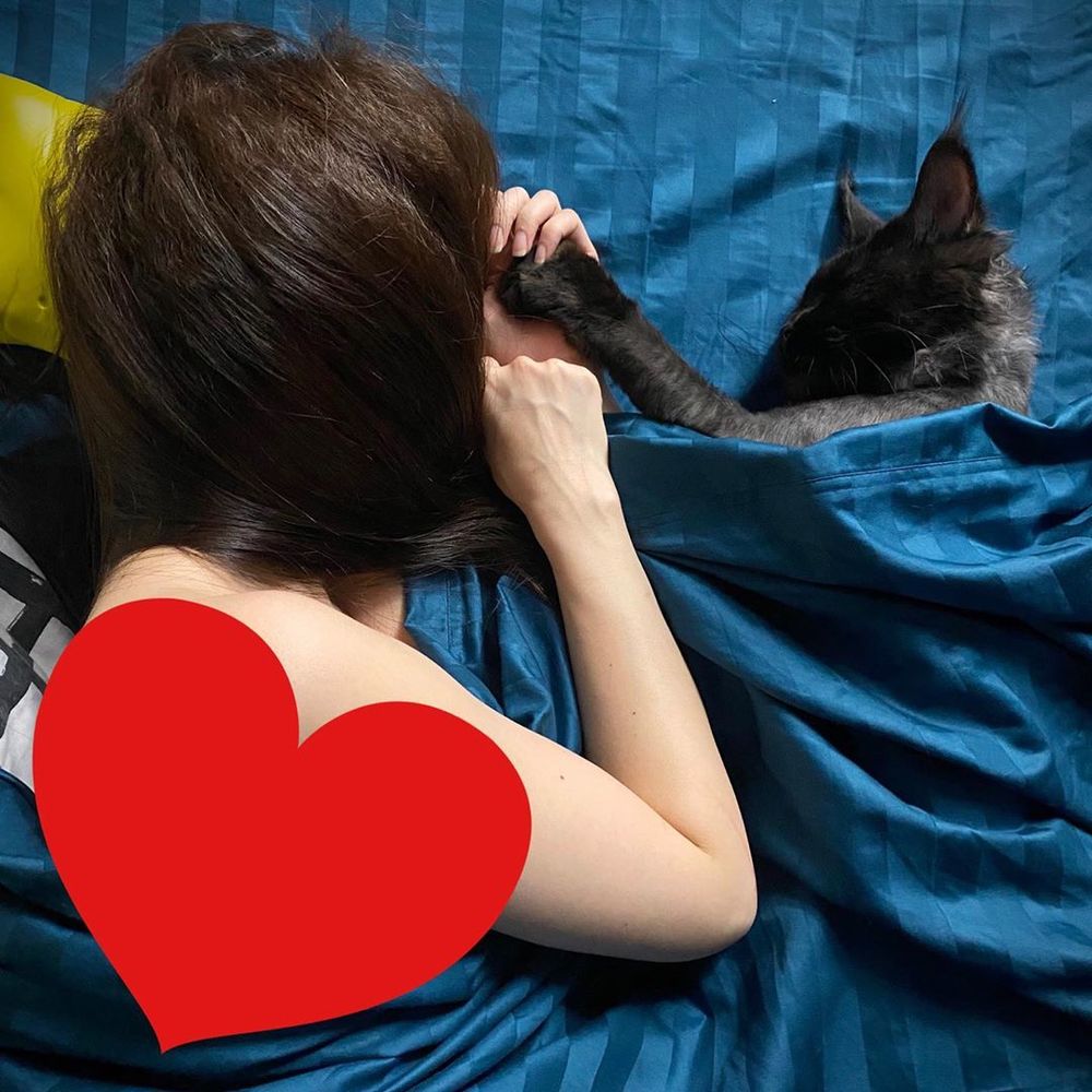  
Chú mèo ngang nhiên nằm ngủ ở chỗ của nam MC vì được Hari Won cho phép. (Ảnh: FBNV)