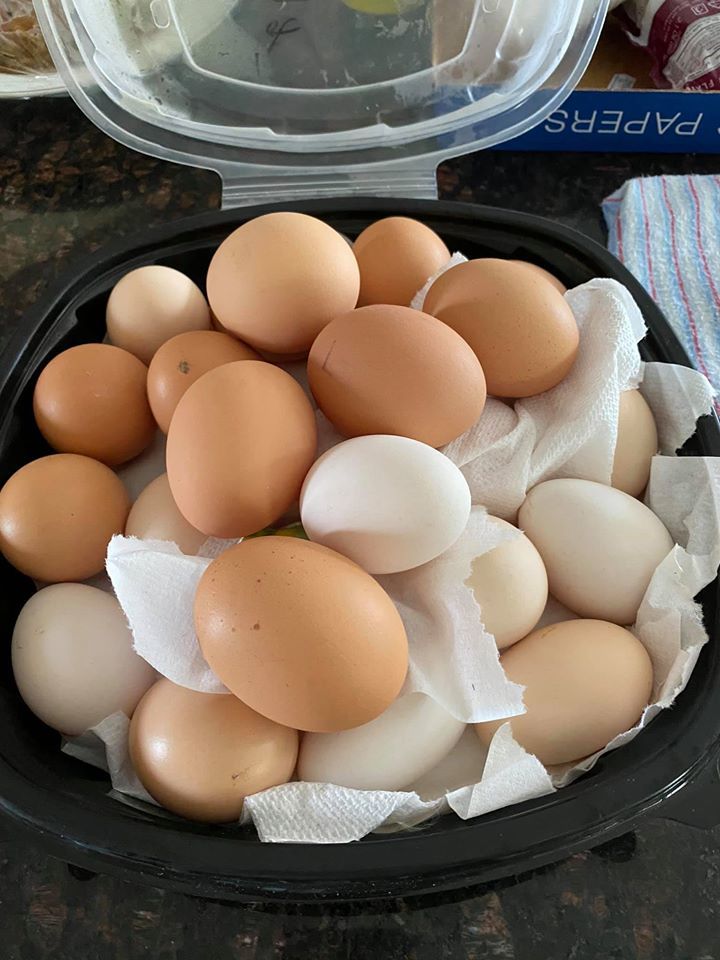  
Cô thu hoạch được rất nhiều trứng sạch và chất lượng. (Ảnh: FBNV) - Tin sao Viet - Tin tuc sao Viet - Scandal sao Viet - Tin tuc cua Sao - Tin cua Sao
