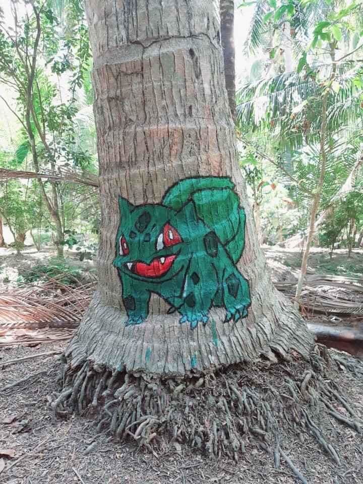  
Bức hình Pokemon trên thân cây dừa do chính cô gái vẽ khi ở nhà trong mùa dịch.