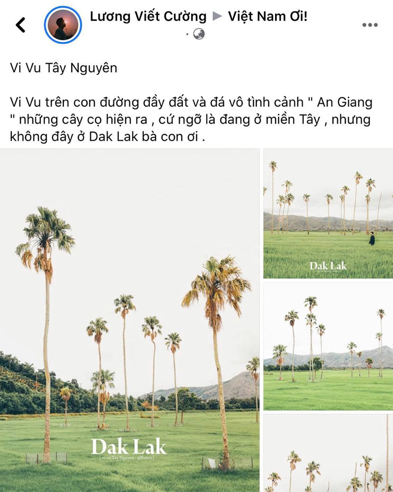  
Bộ ảnh về "cánh đồng thốt nốt" được chụp ngay tại Đắk Lắk khiến nhiều "tín đồ hội cuồng đi" quan tâm.