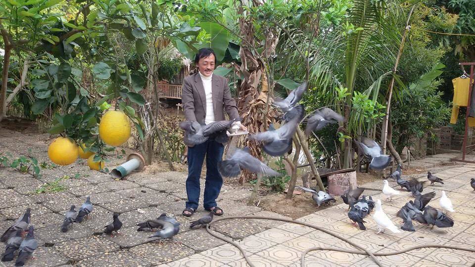  
Trong khu vườn rộng lớn, nghệ sĩ hài Giang Còi nuôi thêm chim bồ câu. - Tin sao Viet - Tin tuc sao Viet - Scandal sao Viet - Tin tuc cua Sao - Tin cua Sao