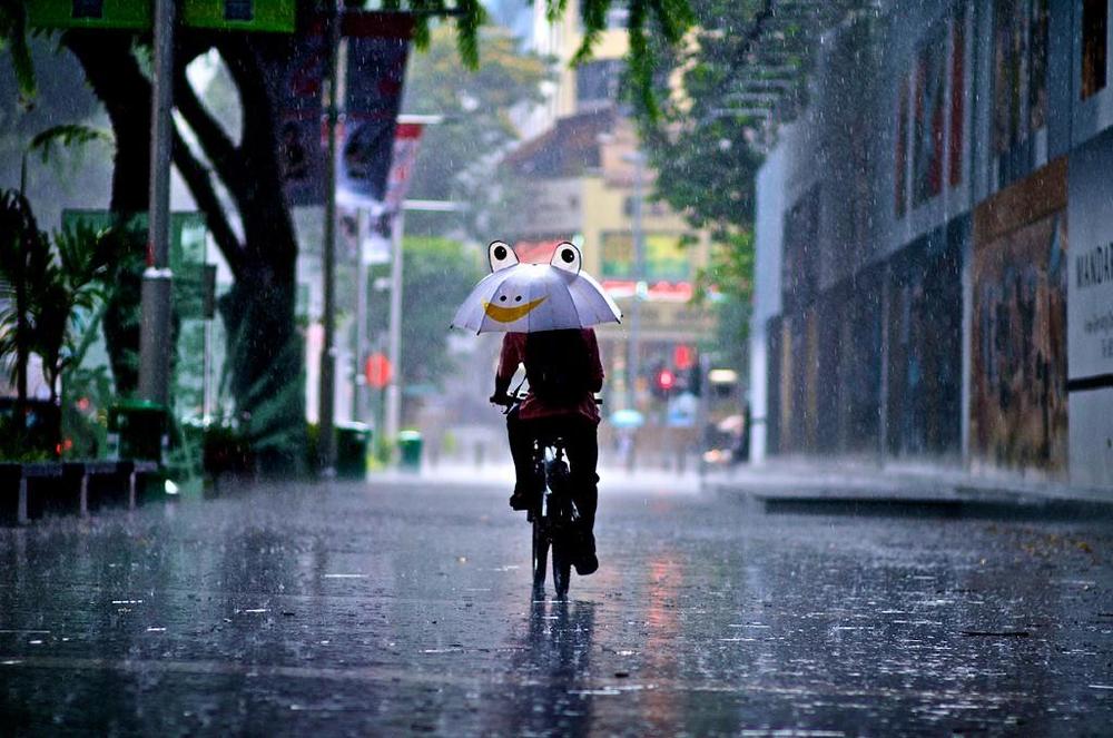  
Dự đoán Sài Gòn sẽ đón một đợt mưa to trong tháng 4/2020​. (Ảnh minh họa: Pinterest)