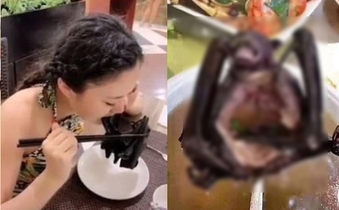  
Việc ăn thịt dơi đang bị nhiều người lên án. (Ảnh: Weibo)