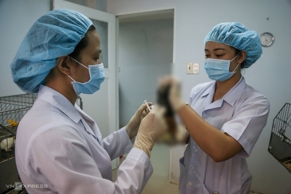  
Bước đầu thành công trong thử nghiệm vaccine Covid-19 tại Việt Nam​. (Ảnh: VNexpress)