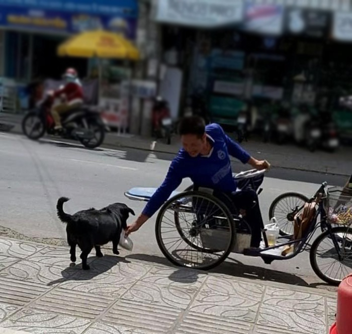 Chú chó đem gạo về chỗ người chủ ngồi xe lăn (Ảnh cắt từ clip: Người Lao động)