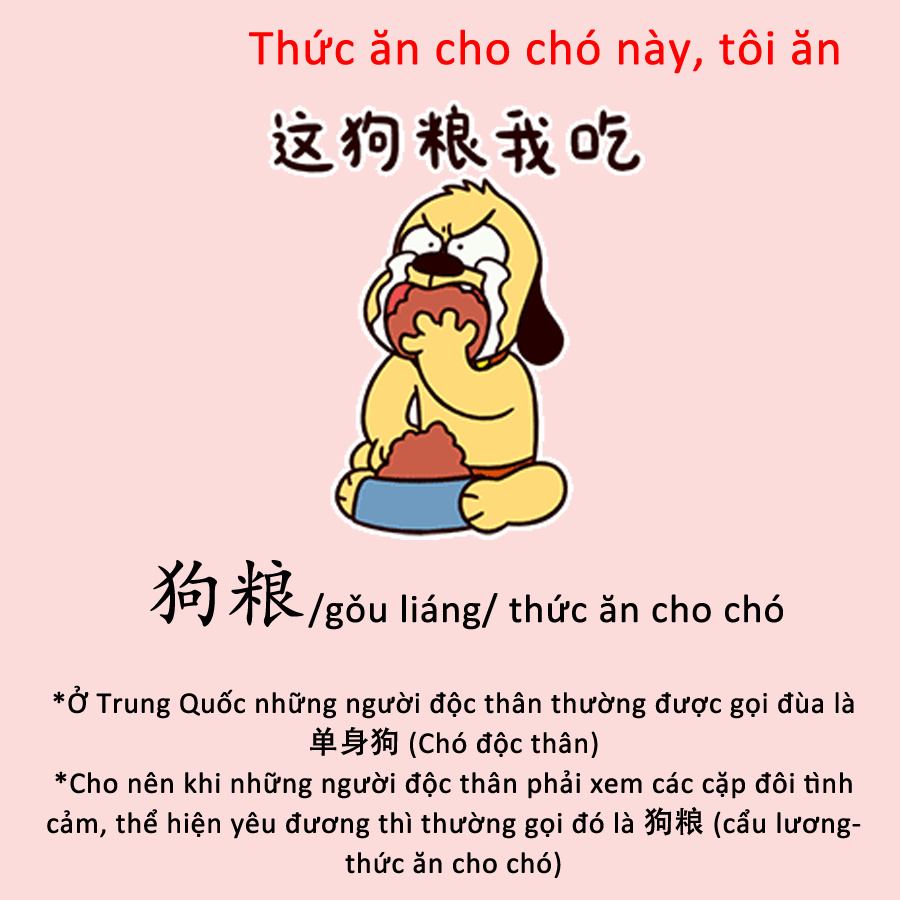 Tra từ Cẩu lương là gì mà giới trẻ thay nhau phát và ăn trên mạng xã hội