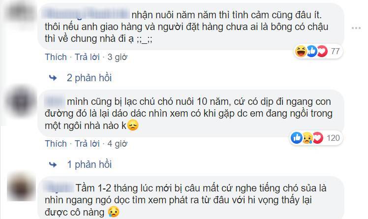  Những bình luận từ CĐM. (Ảnh: FB Weibo Việt Nam)