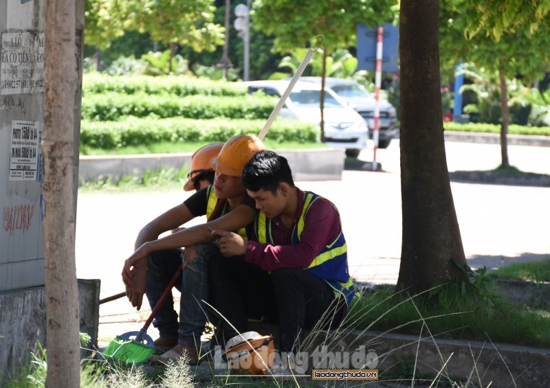  
Người lao động tranh thủ tránh nắng dưới tán cây (Ảnh: Lao động Thủ đô)