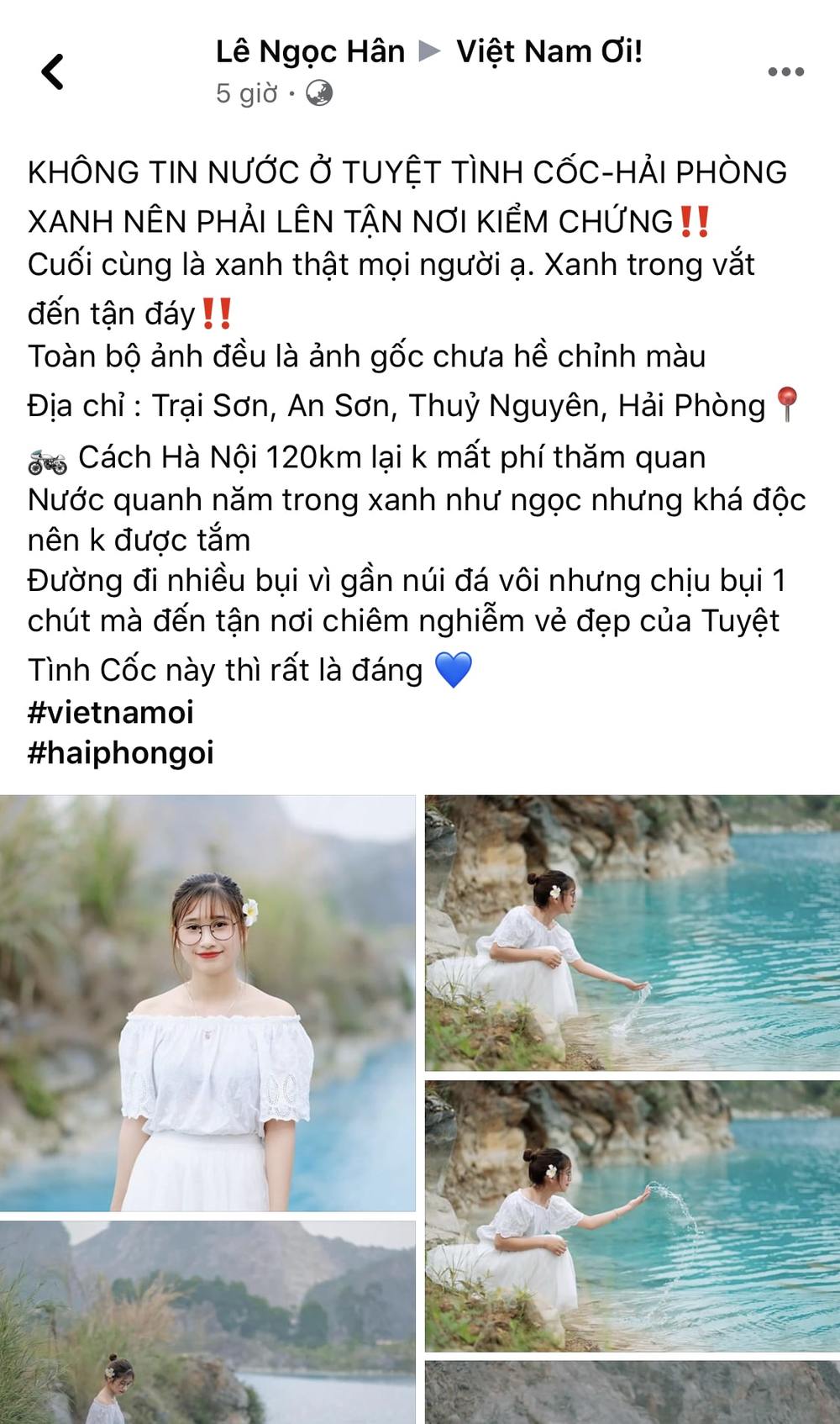  
Bài đăng của thành viên Việt Nam Ơi. (Ảnh chụp màn hình)