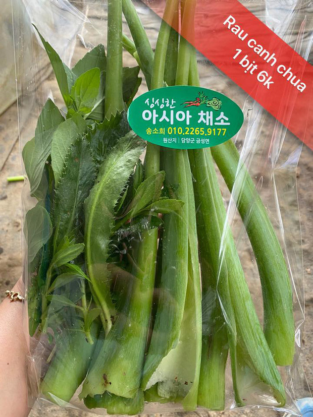  
Những loại rau thường thấy như này có giá 6.000KRW, tương đương với hơn 110.000 đồng tiền Việt. (Ảnh: N.H)