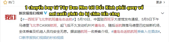  
Trang Thông Tin Trung Quốc đã đăng tải lại tin về chuyến máy bay này. (Ảnh chụp màn hình)
