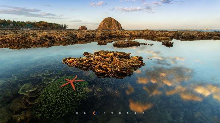  
Kỳ Nhân cũng mong muốn, vẻ đẹp của đất nước sẽ được gìn giữ và phát huy theo đúng bản chất hoang sơ, tuyệt đẹp vốn có của nó. Bức ảnh chụp ở Hòn Yến tại Phú Yên và những rặng san hô tuyệt đẹp tại đây.