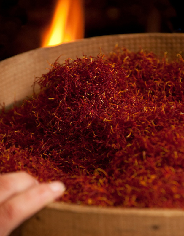  
Những sợi saffron sấy cạnh bếp củi. 