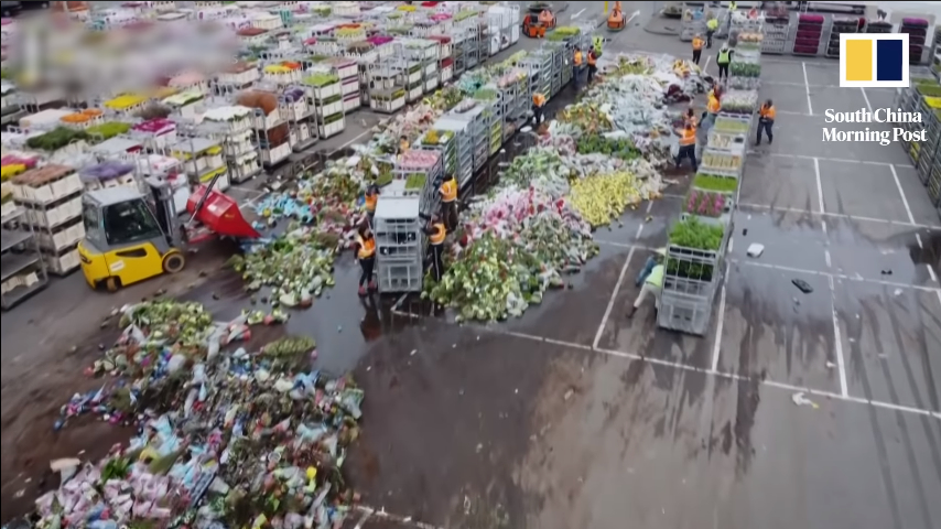  
“Thánh địa” hoa ở Hà Lan hủy trăm triệu cây vì dịch Covid-19​. Ảnh: Chụp màn hình