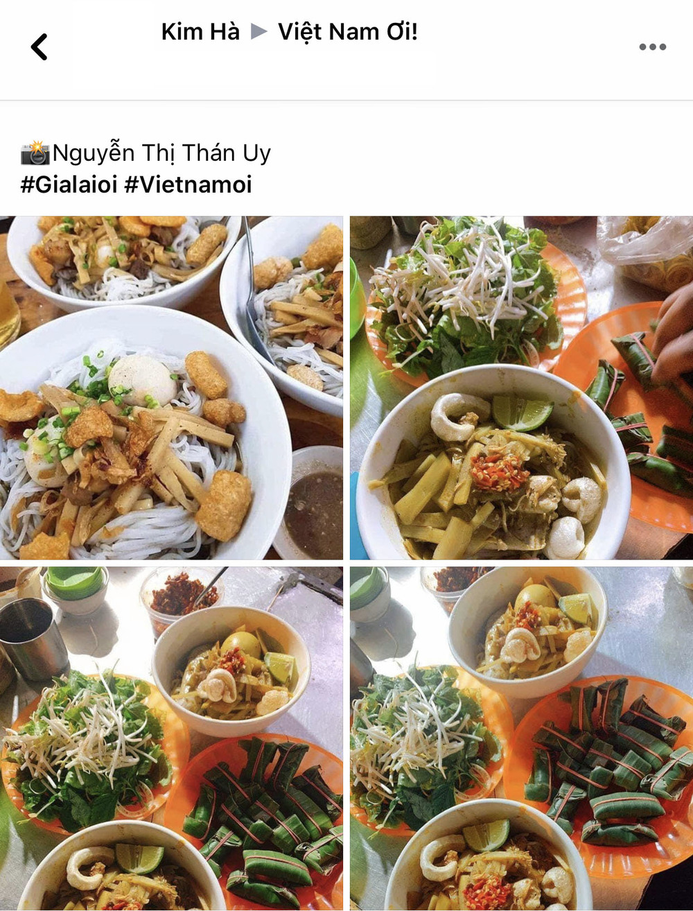  
Thành viên group Việt Nam Ơi giới thiệu món ăn đặc sản "phố núi".