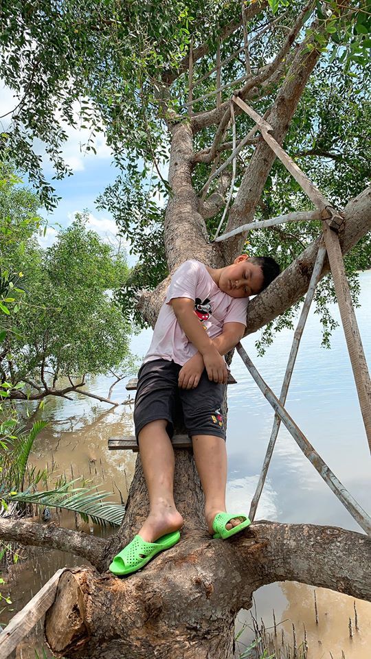  
Con trai cưng chơi đến mức mệt và ngủ cả trên cây. (Ảnh: FBNV) - Tin sao Viet - Tin tuc sao Viet - Scandal sao Viet - Tin tuc cua Sao - Tin cua Sao