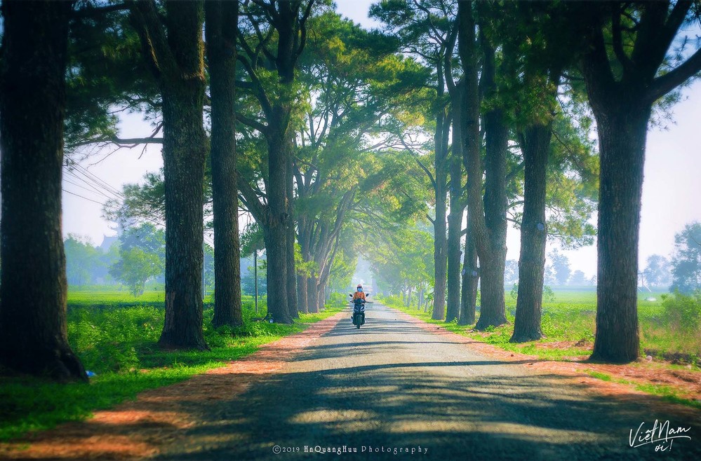  
Con đường thơ mộng tại Gia Lai qua nét ảnh của HN Quang Hữu.