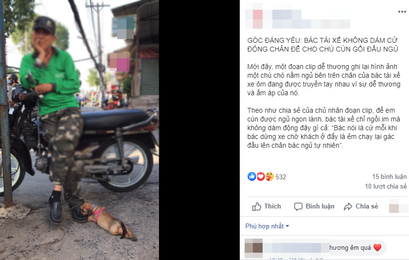  
Hình ảnh của bác xe ôm và chú cún được chia sẻ rộng rãi trên mạng xã hội. (Ảnh: Chụp màn hình)
