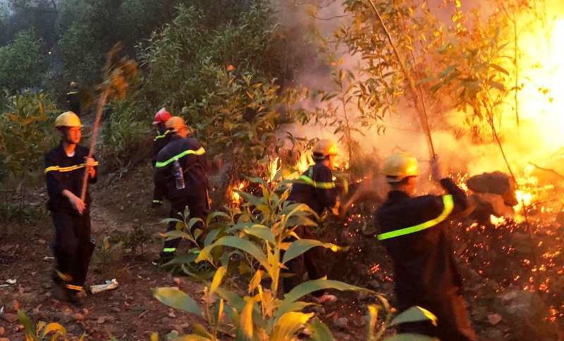  
Lực lượng phòng cháy chữa cháy nỗ lực dập tắt đám cháy rừng ở Nghệ An (Ảnh: Pháp luật Online)