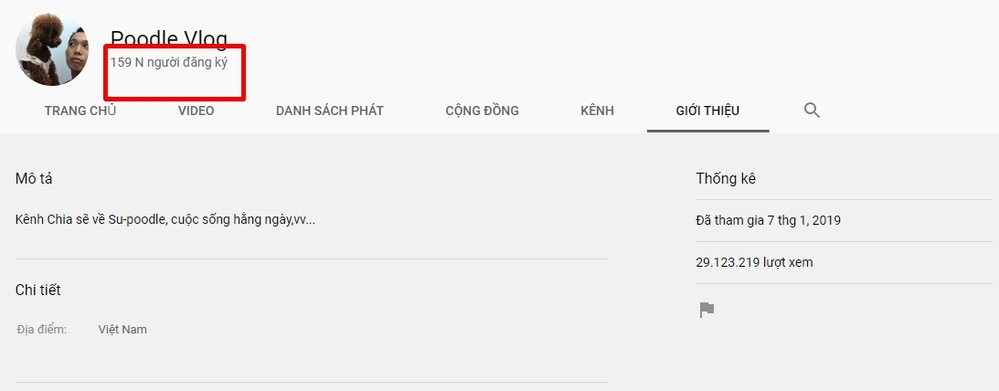 Kênh YouTube mà chủ lập dành riêng cho Su Xí Xọn nhận được nhiều sự ủng hộ. Ảnh: NVCC