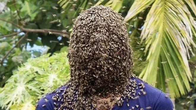  
Người đàn ông để ong bâu kín mặt. (Ảnh: Magnus News Agency)