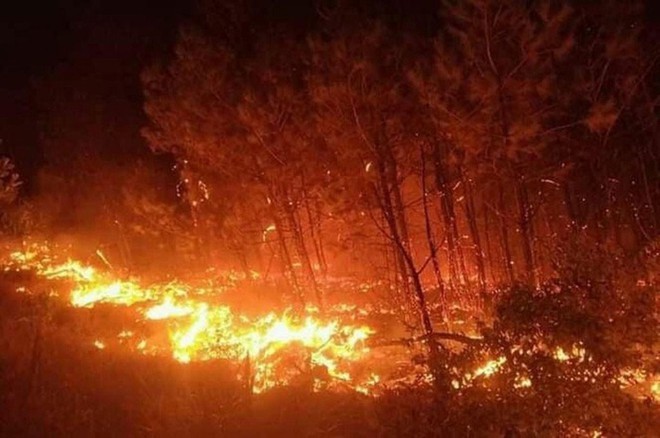  
Hình ảnh rừng thông ở xã Diễn An (Hà Tĩnh) bốc cháy trong đêm 29/6. (Ảnh: Thanh Niên)