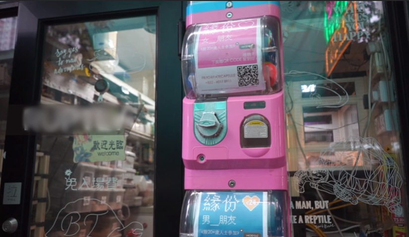  
Chiếc máy thú vị này là sáng chế của chủ cửa hàng thú nuôi ở Hồng Kông. Ảnh: Chụp màn hình
