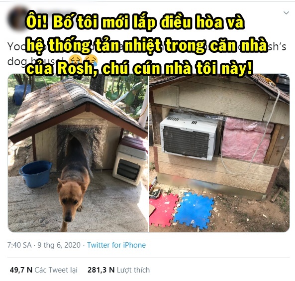  
Bài đăng về Rosh, chú chó sở hữu điều hòa riêng. (Ảnh: Twitter @350zadrian)