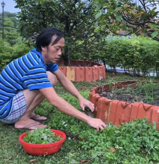  
Tính cách giản dị của Hoài Linh còn thể hiện ở việc tự tay trồng lấy cây trái trong khuôn viên Nhà thờ Tổ nghiệp 100 tỷ để vui sống cuộc đời điền viên, không màng thế sự. Ảnh: FBNV