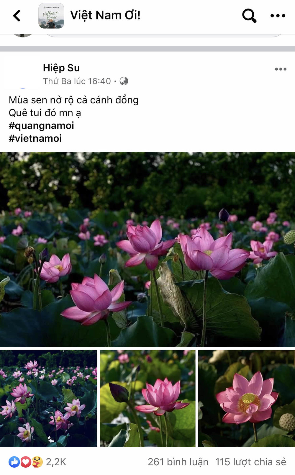  
Những thước ảnh bình dị về đồng quê Việt Nam cũng nhận lượt tương tác nhiệt tình từ cộng đồng.