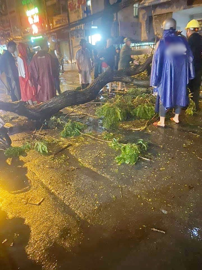  
Hiện trường vụ cây đổ khiến 1 người tử vong tại TP.HCM tối 13/6 (Ảnh: C.A - Ký sự đường phố/BEATVN)