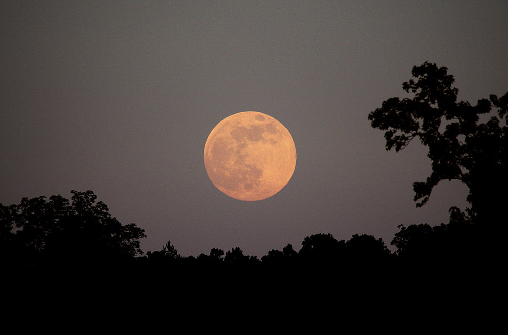  
Hình ảnh Mặt Trăng khi xảy ra hiện tượng nguyệt thực trùng với kỳ trăng tròn (Ảnh: Universetoday)