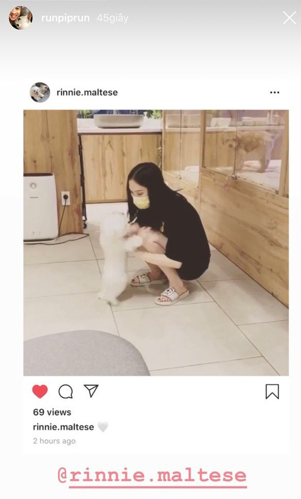  
Anh cũng từng đăng ảnh Linh Rin đang chơi đùa cùng cún. (Ảnh: Chụp màn hình)