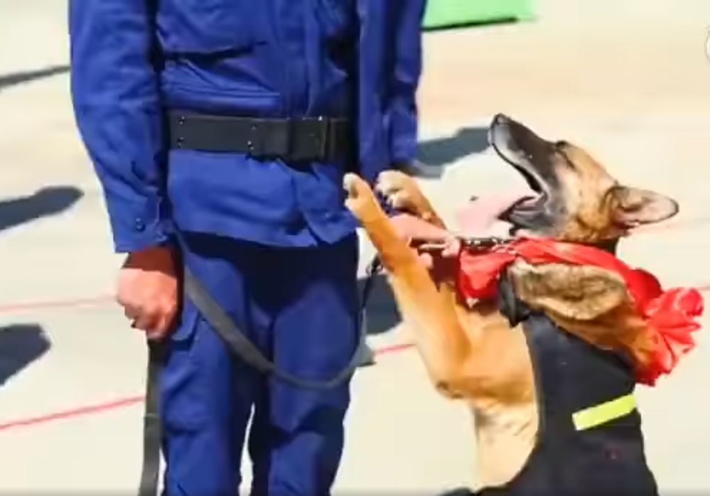  
Một chú chó không muốn chia xa người huấn luyện của mình. (Ảnh cắt từ clip)