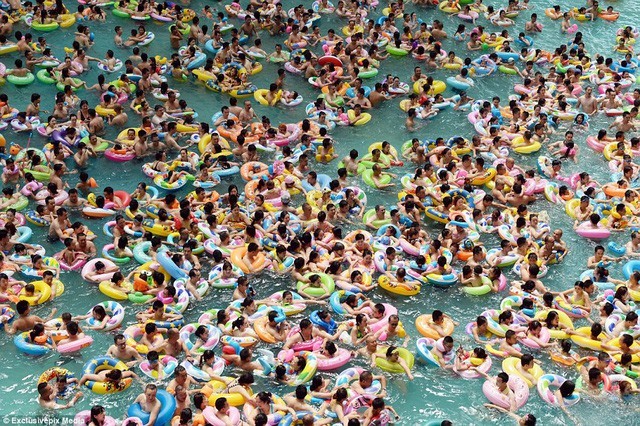  
Hình ảnh người dân đổ xô đến bể bơi để tránh nóng. (Ảnh: Pinterest)
