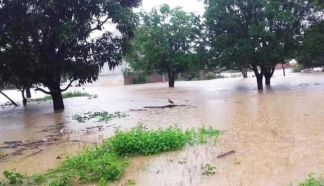  
Nhiều khu vực bị ngập sâu sau trận mưa lớn kéo dài (Ảnh: Dân Trí)